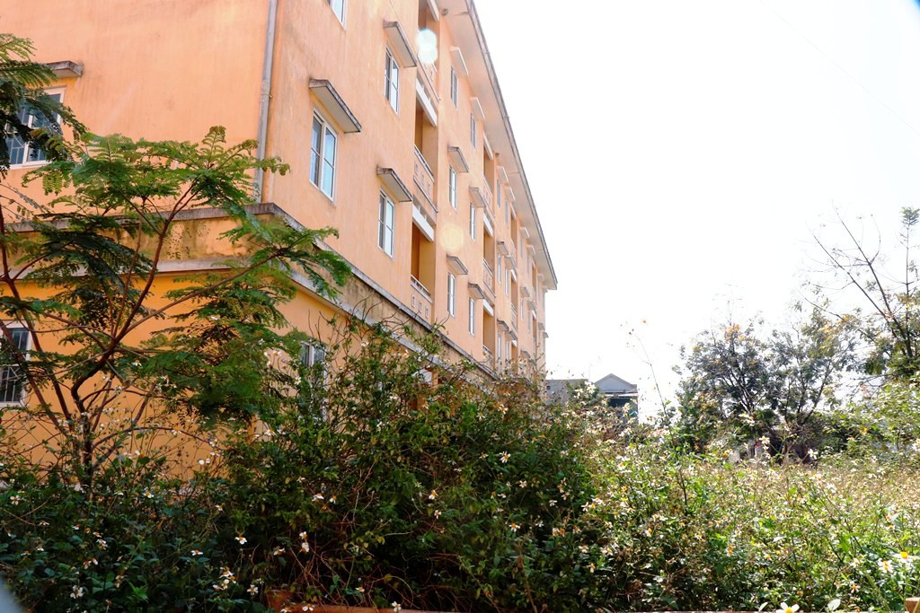 Chung cư 'chục tỷ' xây gần 10 năm ở Huế không biết làm gì, cây dại phủ như rừng ảnh 15