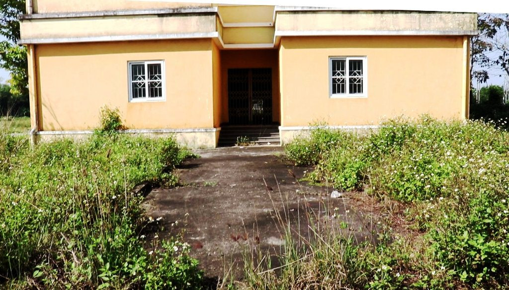 Chung cư 'chục tỷ' xây gần 10 năm ở Huế không biết làm gì, cây dại phủ như rừng ảnh 4