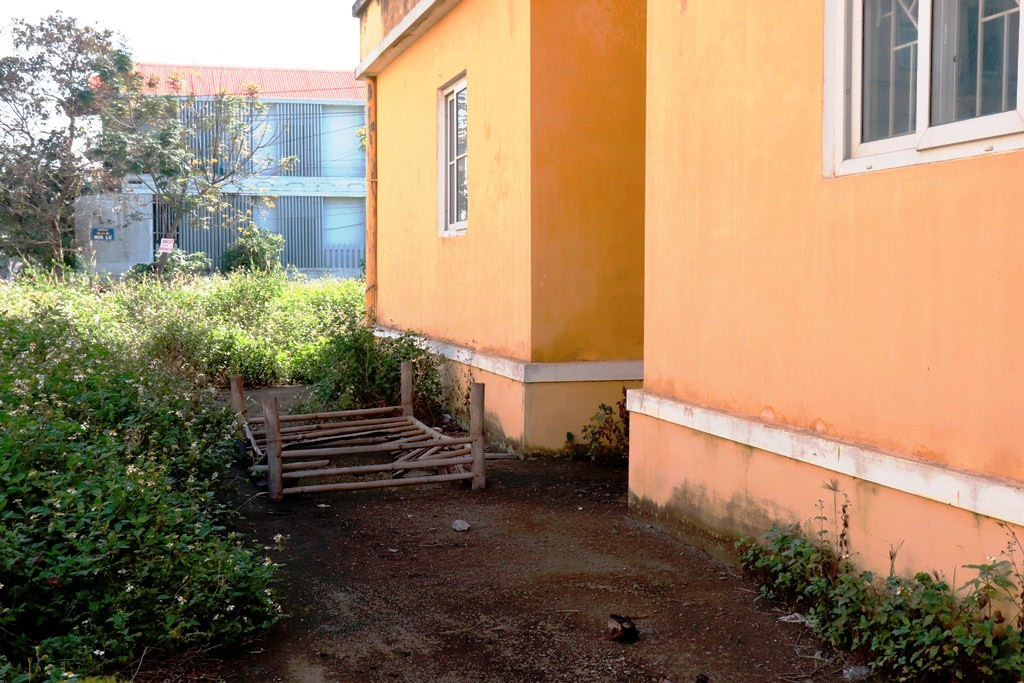 Chung cư 'chục tỷ' xây gần 10 năm ở Huế không biết làm gì, cây dại phủ như rừng ảnh 13