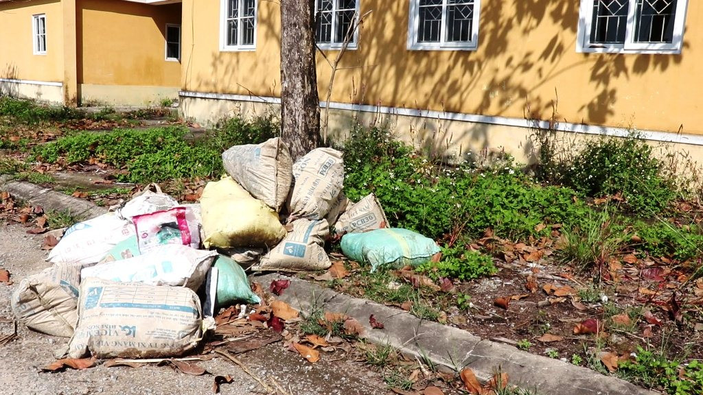 Chung cư 'chục tỷ' xây gần 10 năm ở Huế không biết làm gì, cây dại phủ như rừng ảnh 9