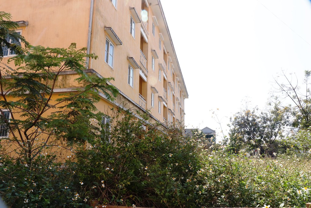 Chung cư 'chục tỷ' xây gần 10 năm ở Huế không biết làm gì, cây dại phủ như rừng ảnh 1