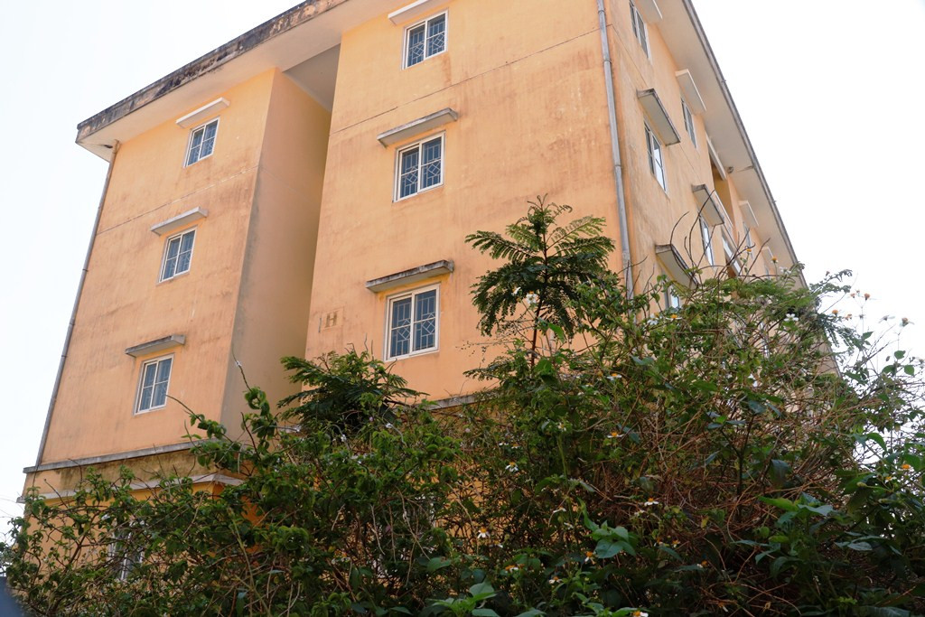 Chung cư 'chục tỷ' xây gần 10 năm ở Huế không biết làm gì, cây dại phủ như rừng ảnh 3