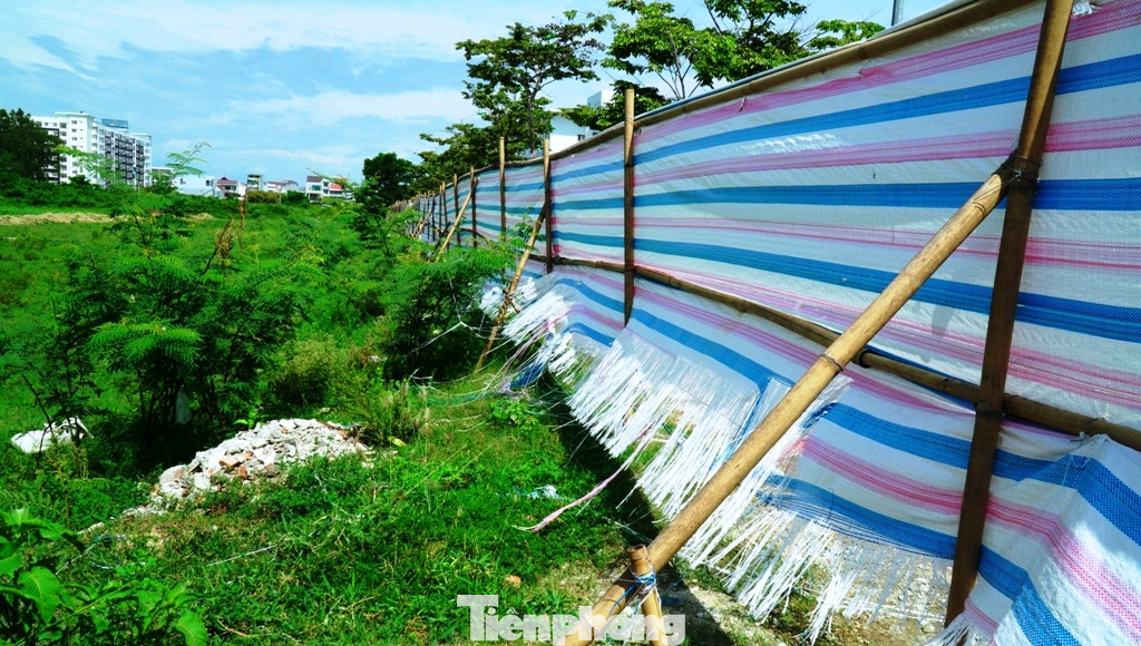 Ì ạch tiến độ dự án 100 tỷ xây quảng trường, công viên cây xanh lớn nhất TT-Huế ảnh 5