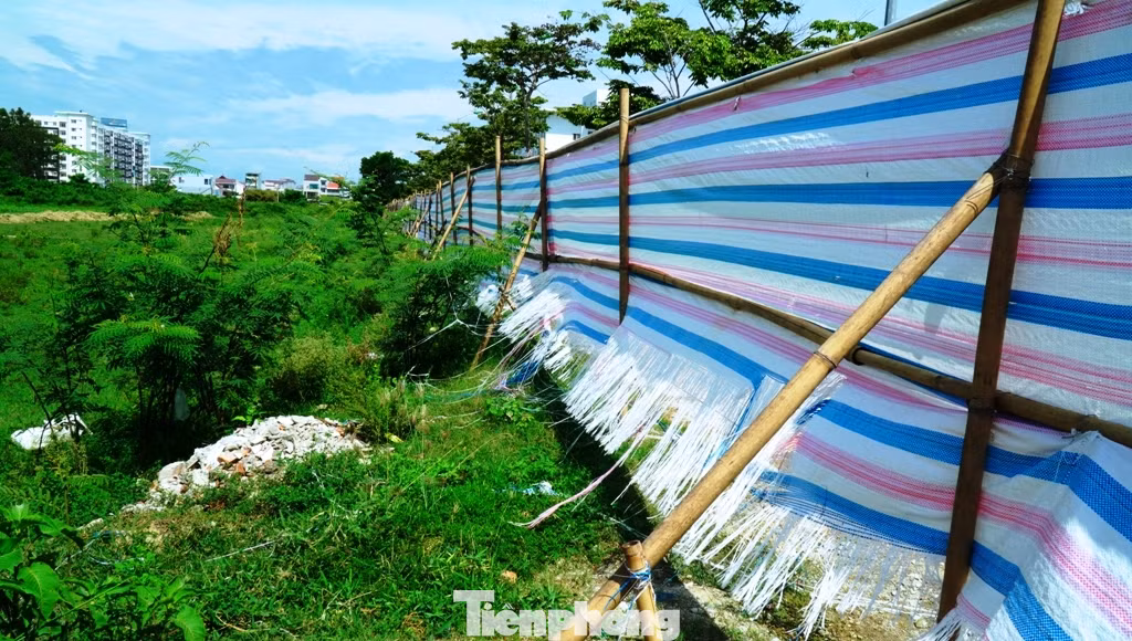 Ì ạch tiến độ dự án 100 tỷ xây quảng trường, công viên cây xanh lớn nhất TT-Huế ảnh 5