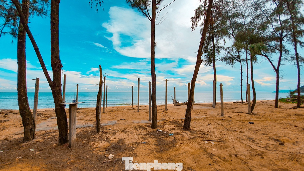 Bờ biển, rừng phòng hộ ở TT-Huế bị sóng dữ xé nát ảnh 8