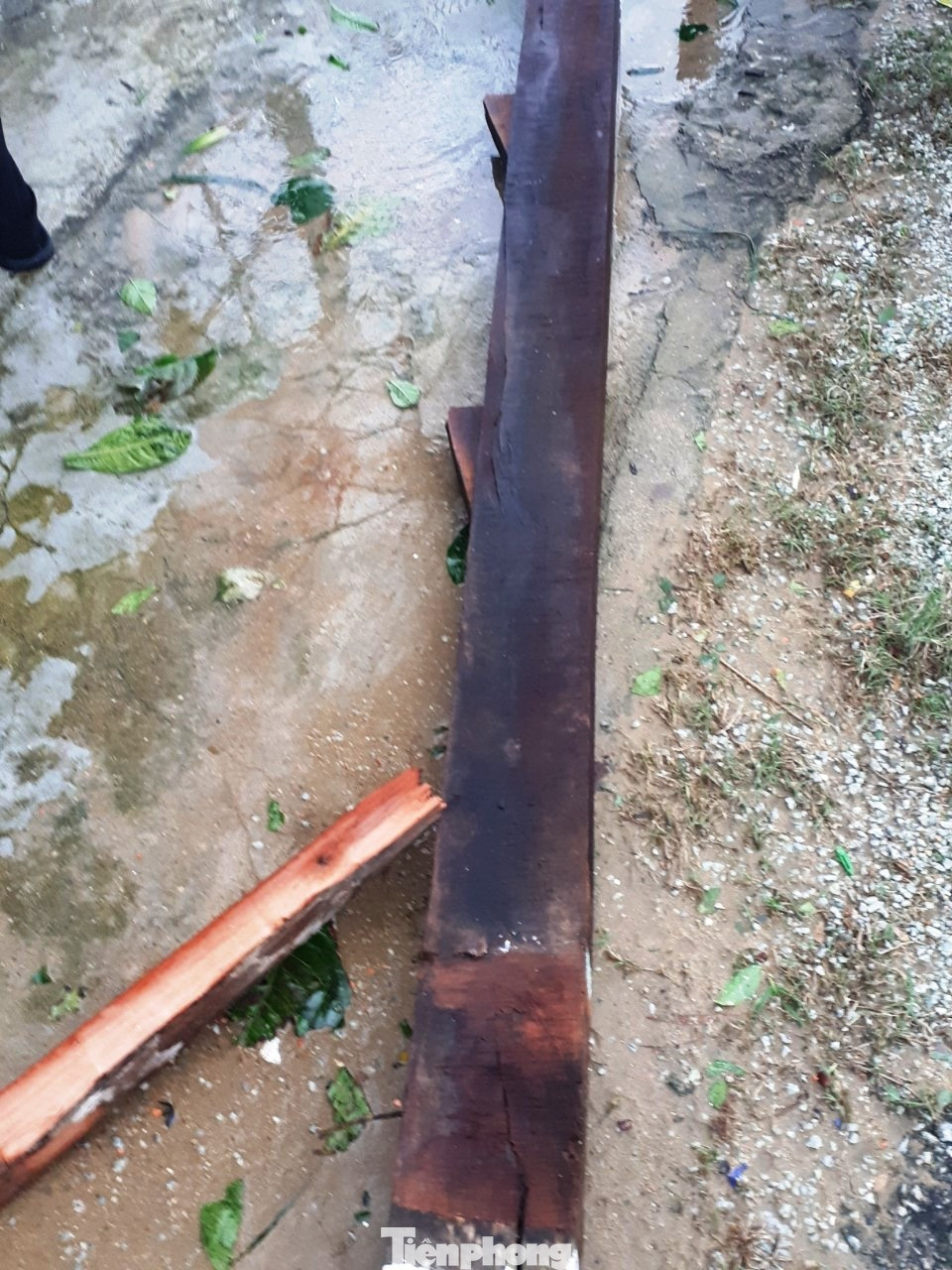 Xót xa nhìn trường học tại TT-Huế bị 'cuồng phong' số 13 thổi bay nóc ảnh 11