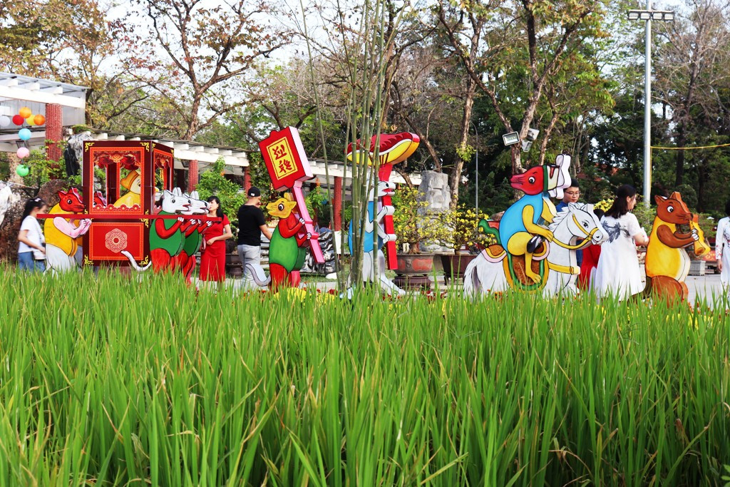 Nhìn ngắm Huế ngày cuối năm khoác 'áo hoa' lạ lẫm đón Tết ảnh 1
