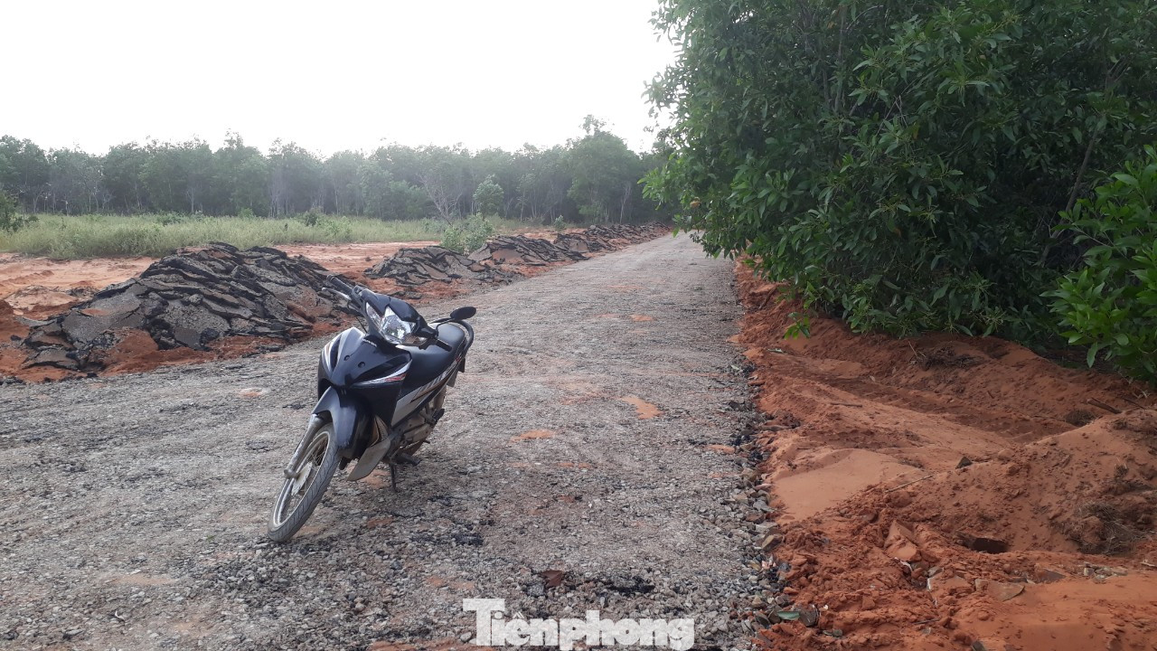 Dân tự ý làm đường nhựa trên đất nông nghiệp để phân lô bán nền ở Phan Thiết ảnh 1
