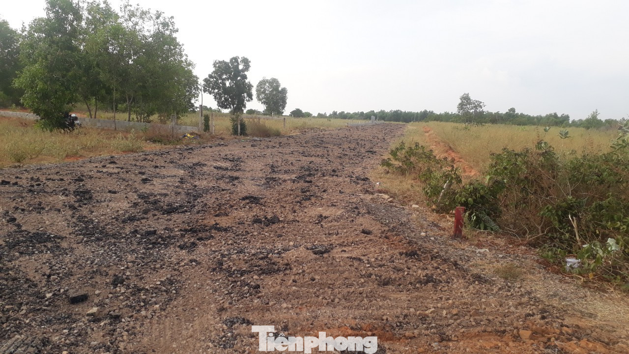 Dân tự ý làm đường nhựa trên đất nông nghiệp để phân lô bán nền ở Phan Thiết ảnh 2