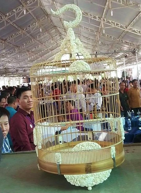 Mốt lồng son cho chim quý ở TPHCM ảnh 1