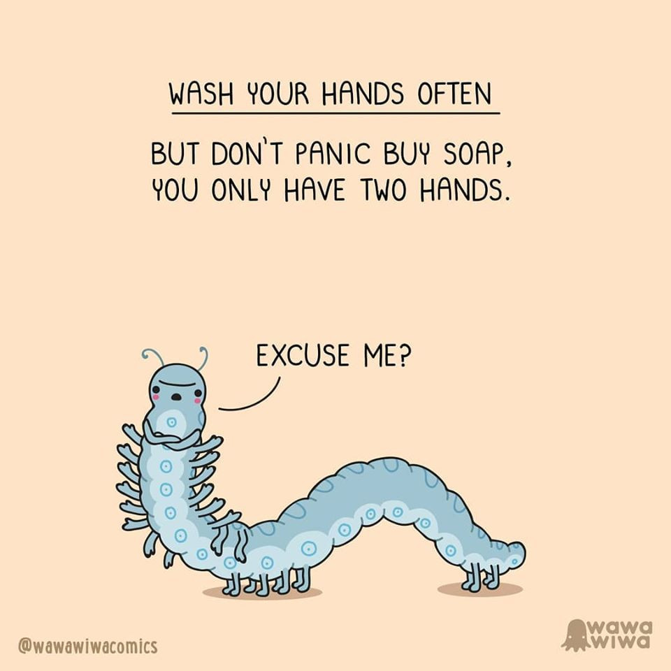 Cộng đồng người Việt ở Seattle giúp nhau phòng chống dịch ảnh 12