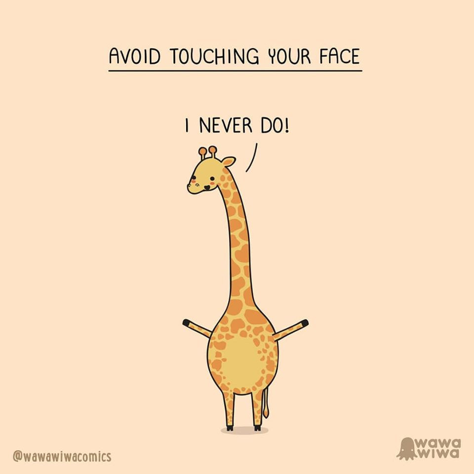 Cộng đồng người Việt ở Seattle giúp nhau phòng chống dịch ảnh 11