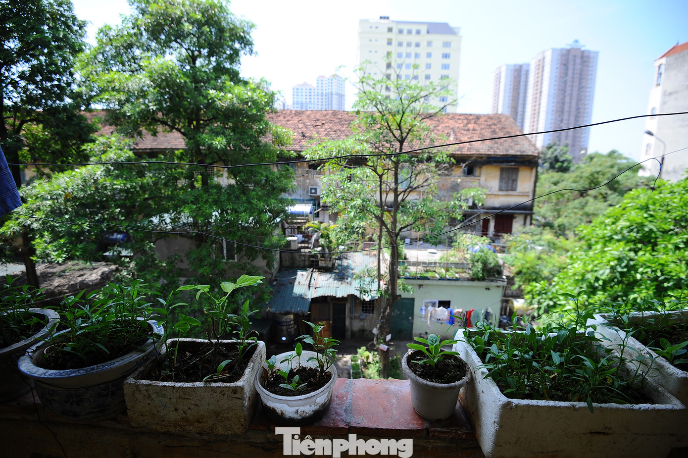 Sống trong sợ hãi ở dãy nhà tập thể mặt phố Lê Hồng Phong ảnh 11