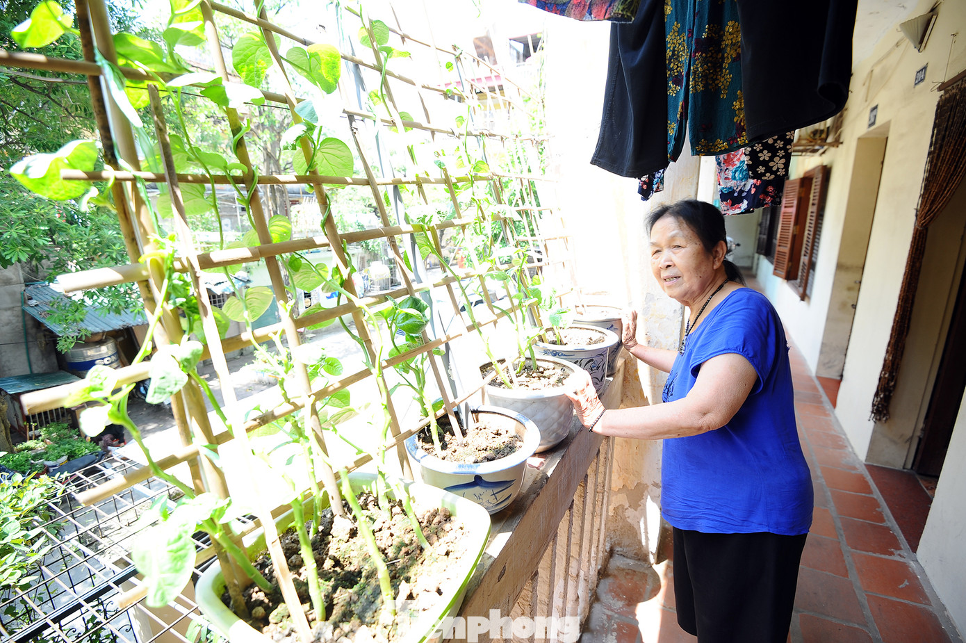 Sống trong sợ hãi ở dãy nhà tập thể mặt phố Lê Hồng Phong ảnh 8