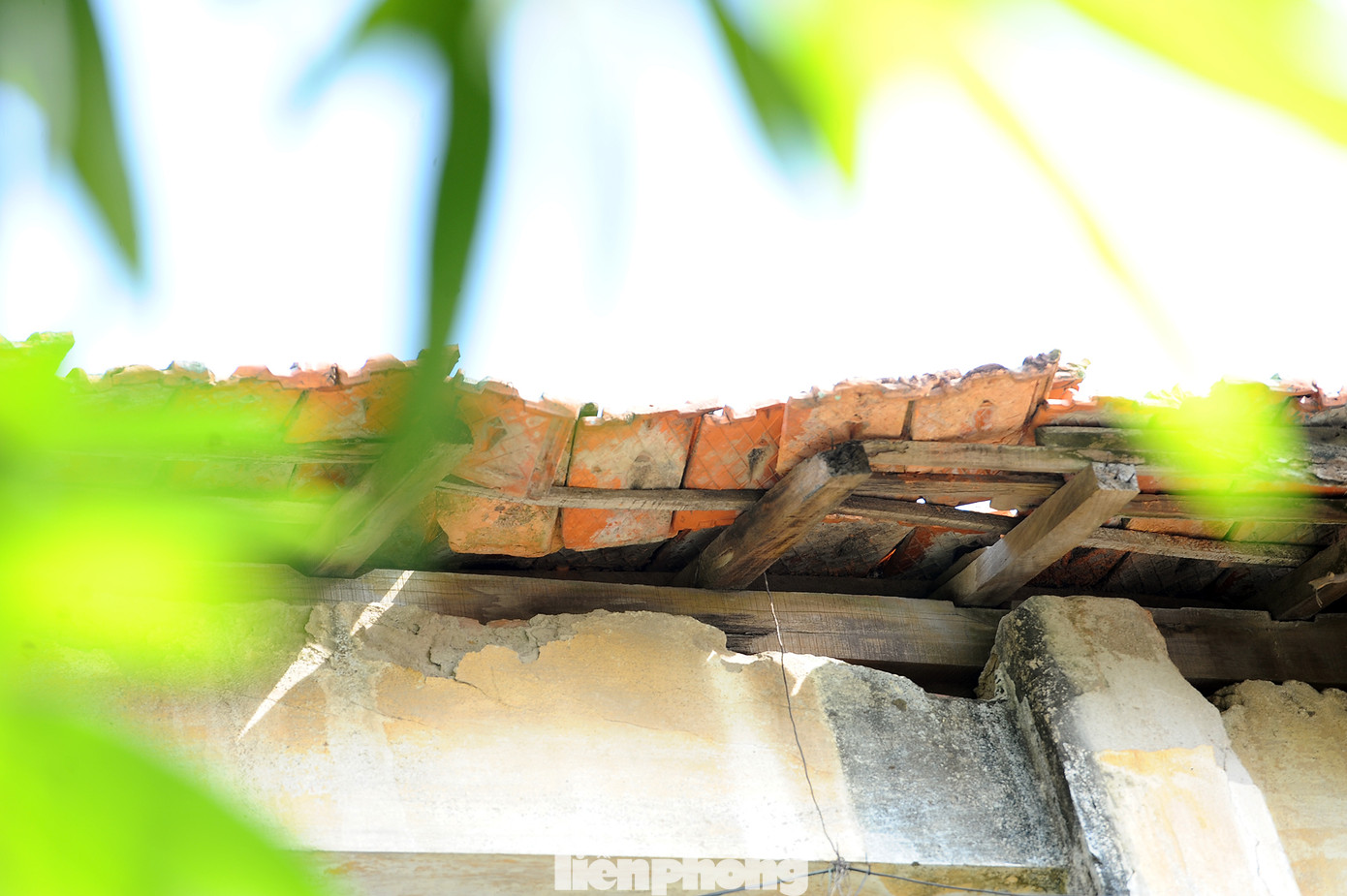 Sống trong sợ hãi ở dãy nhà tập thể mặt phố Lê Hồng Phong ảnh 4