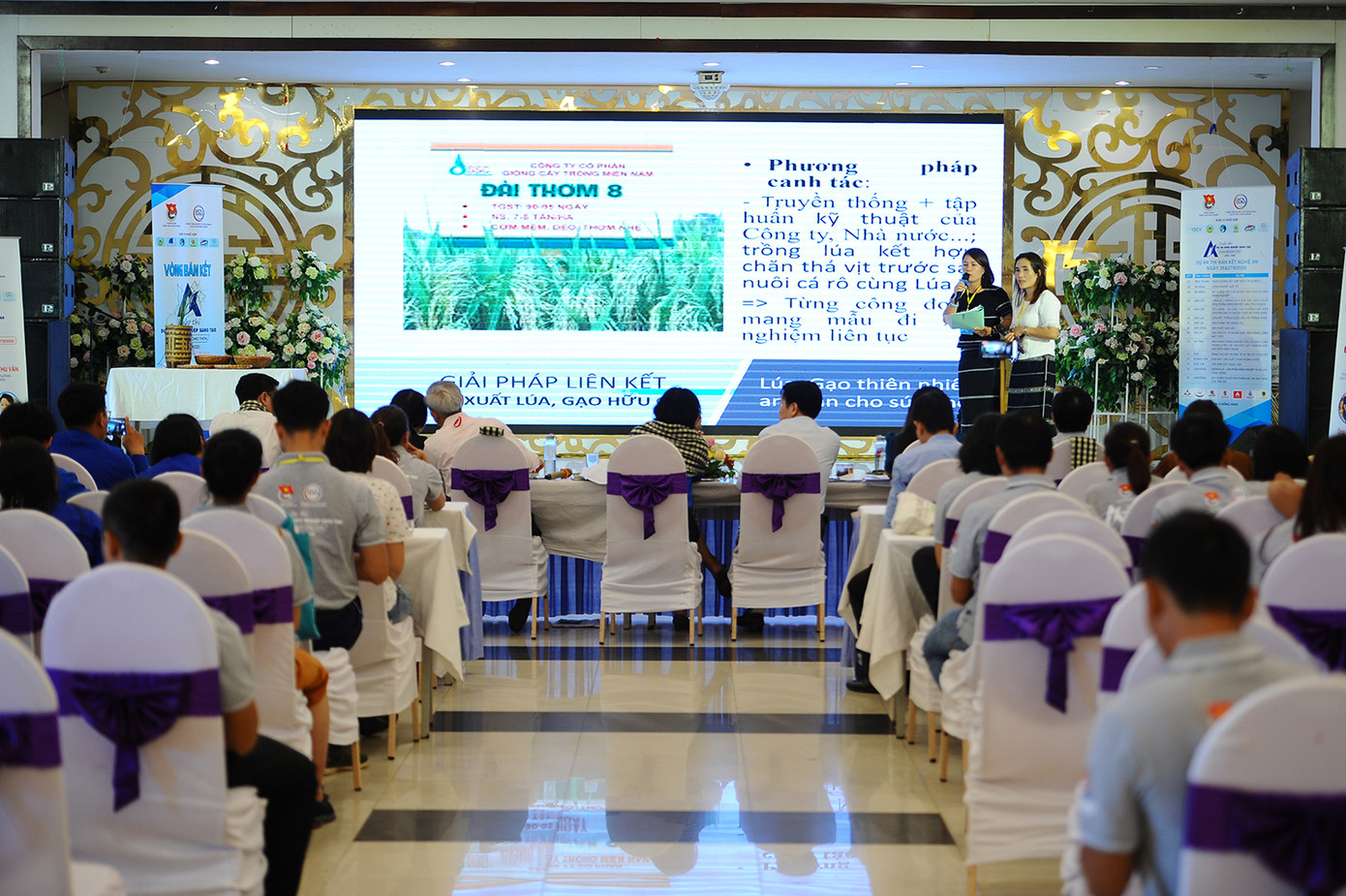 Những mô hình, dự án khởi nghiệp sáng tạo thanh niên nông thôn ảnh 3