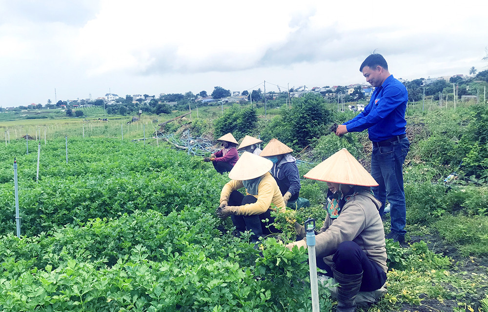 Chàng thanh niên dân tộc Tày mê nông nghiệp ảnh 1