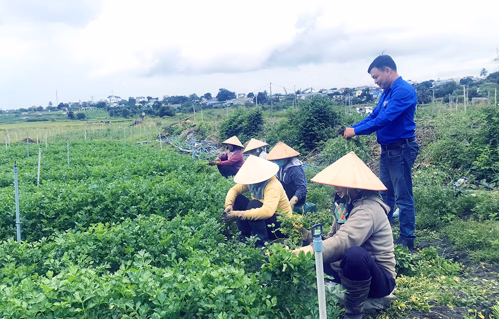 Chàng thanh niên dân tộc Tày mê nông nghiệp ảnh 1