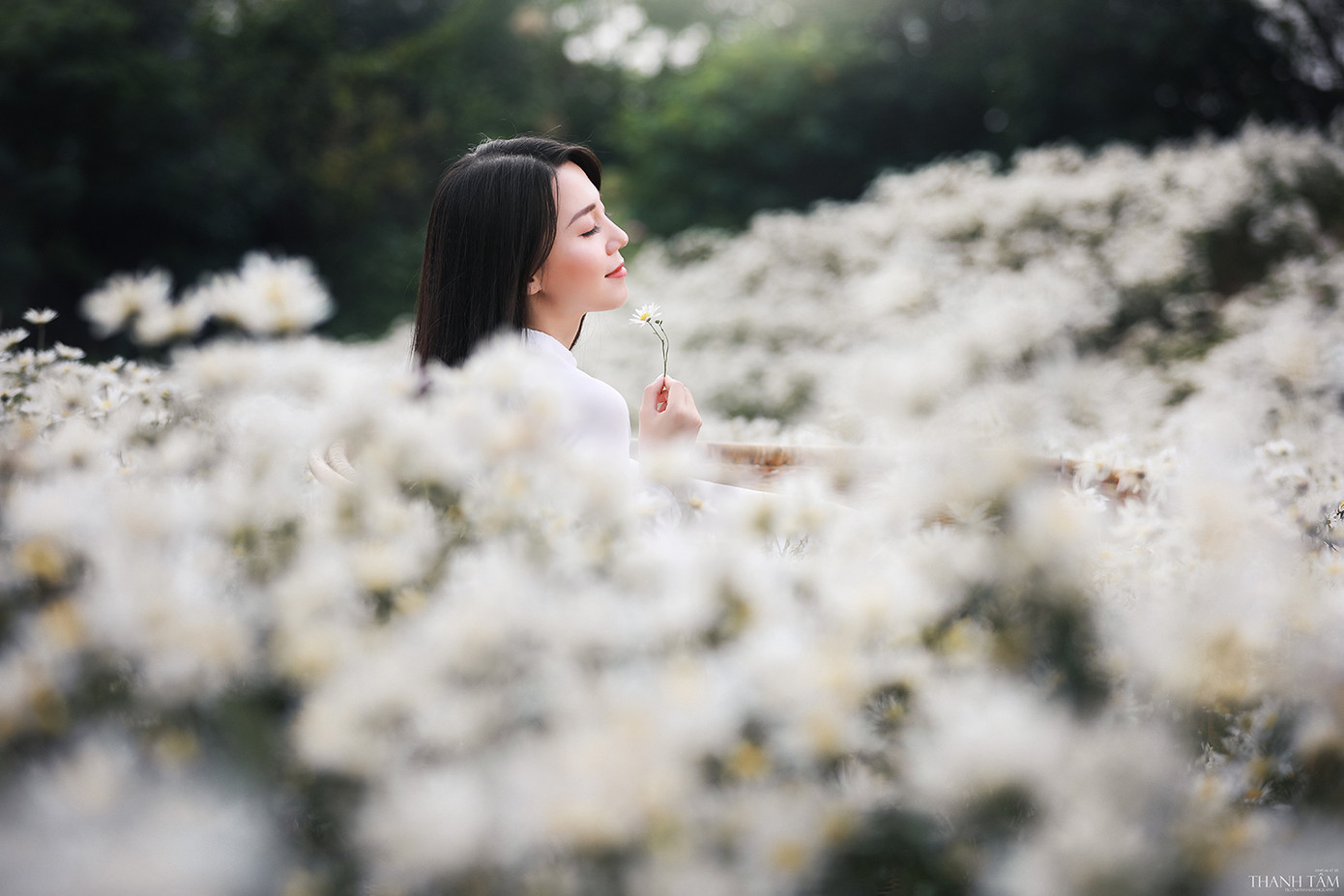 Cô nàng 9X Hà Nội tinh khôi bên cúc hoạ mi ảnh 8