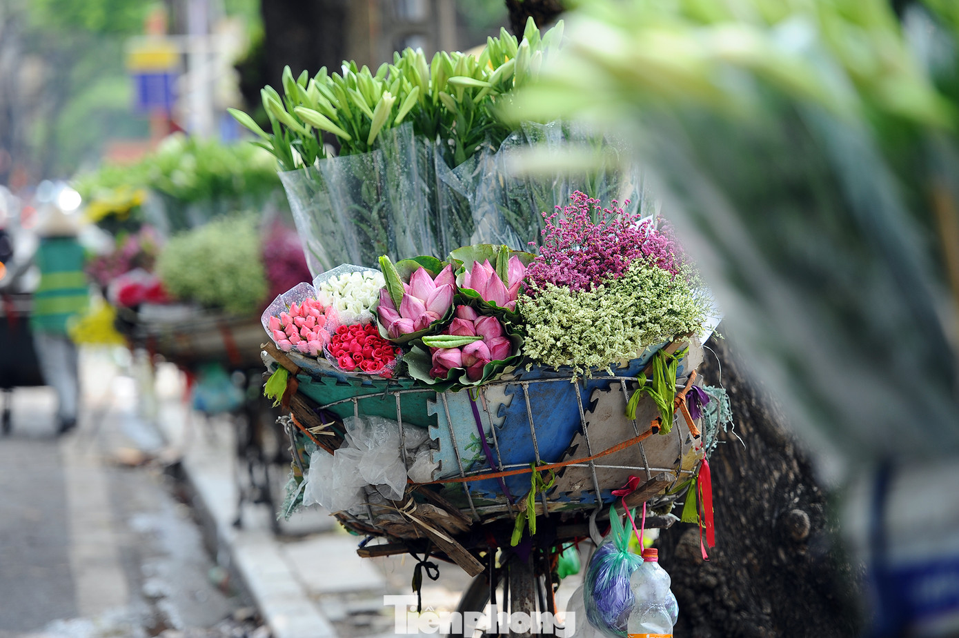 Hương sen toả ngát phố phường Hà Nội ảnh 7