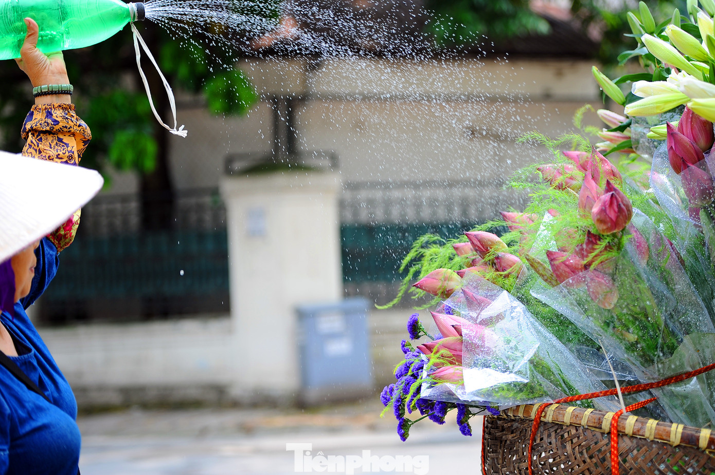 Hương sen toả ngát phố phường Hà Nội ảnh 2