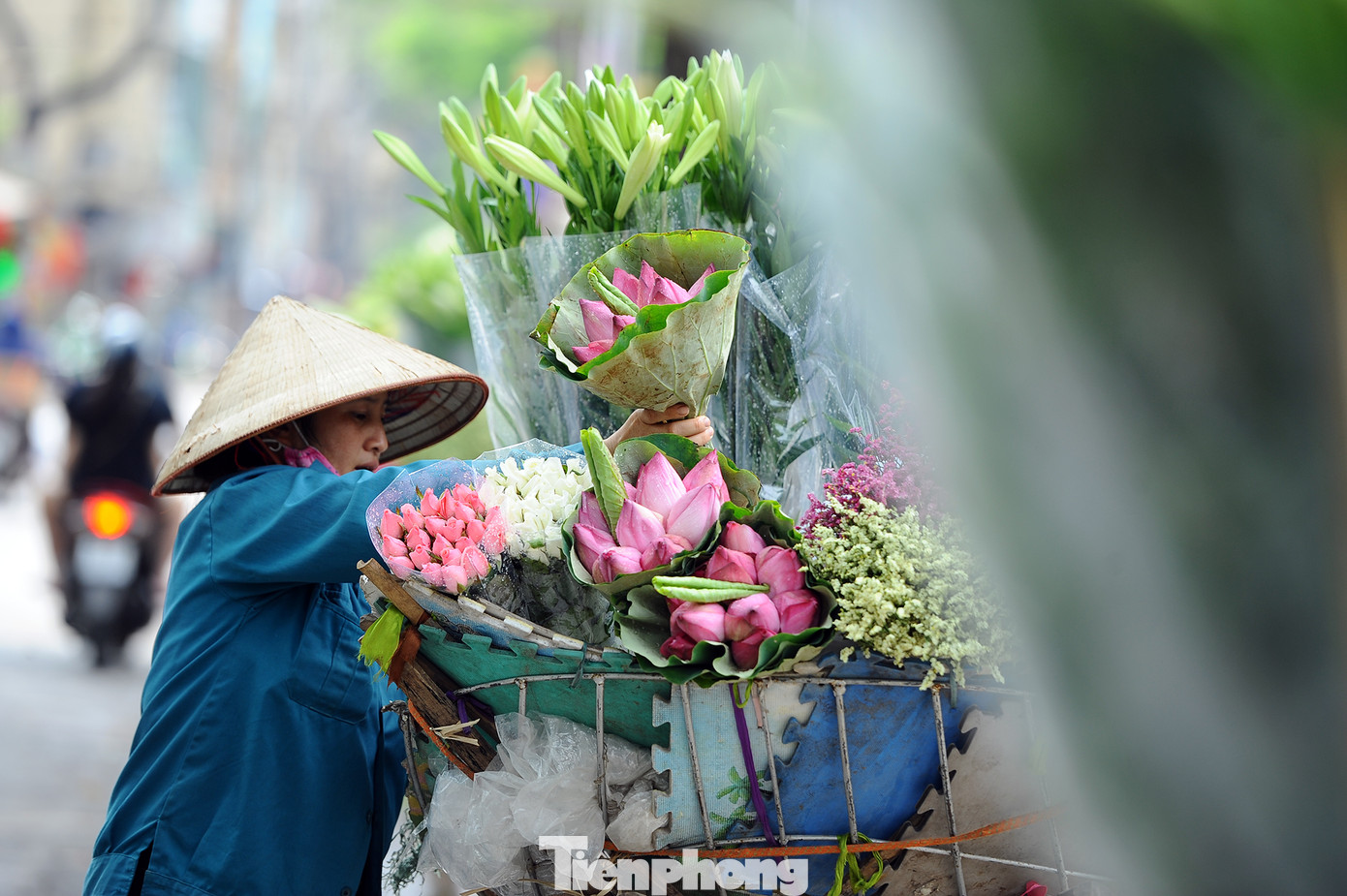 Hương sen toả ngát phố phường Hà Nội ảnh 10