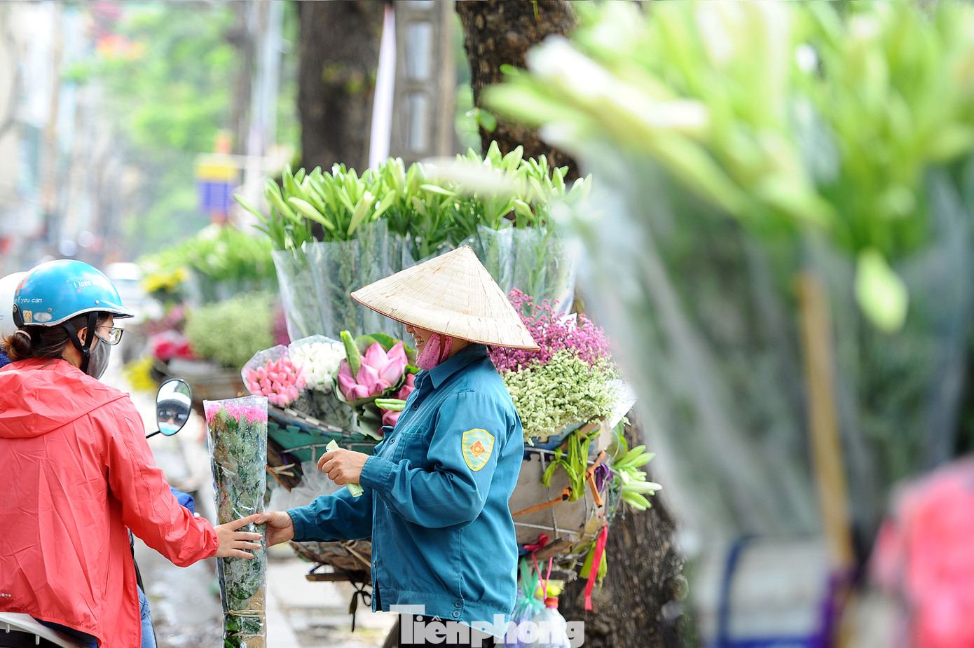 Hương sen toả ngát phố phường Hà Nội ảnh 8