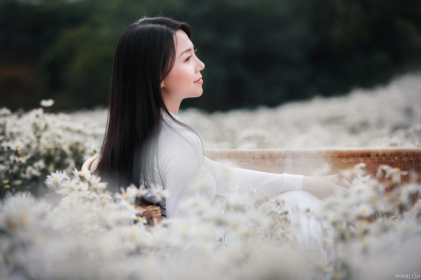 Cô nàng 9X Hà Nội tinh khôi bên cúc hoạ mi ảnh 7