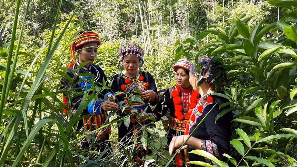 Khởi nghiệp từ sản phẩm truyền thống để bảo vệ văn hóa của người Dao ảnh 1