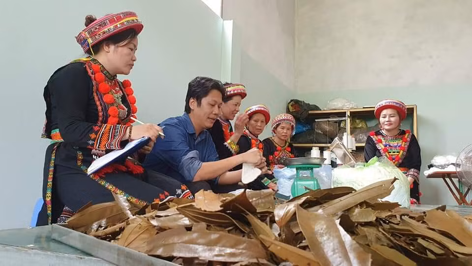 Khởi nghiệp từ sản phẩm truyền thống để bảo vệ văn hóa của người Dao ảnh 2