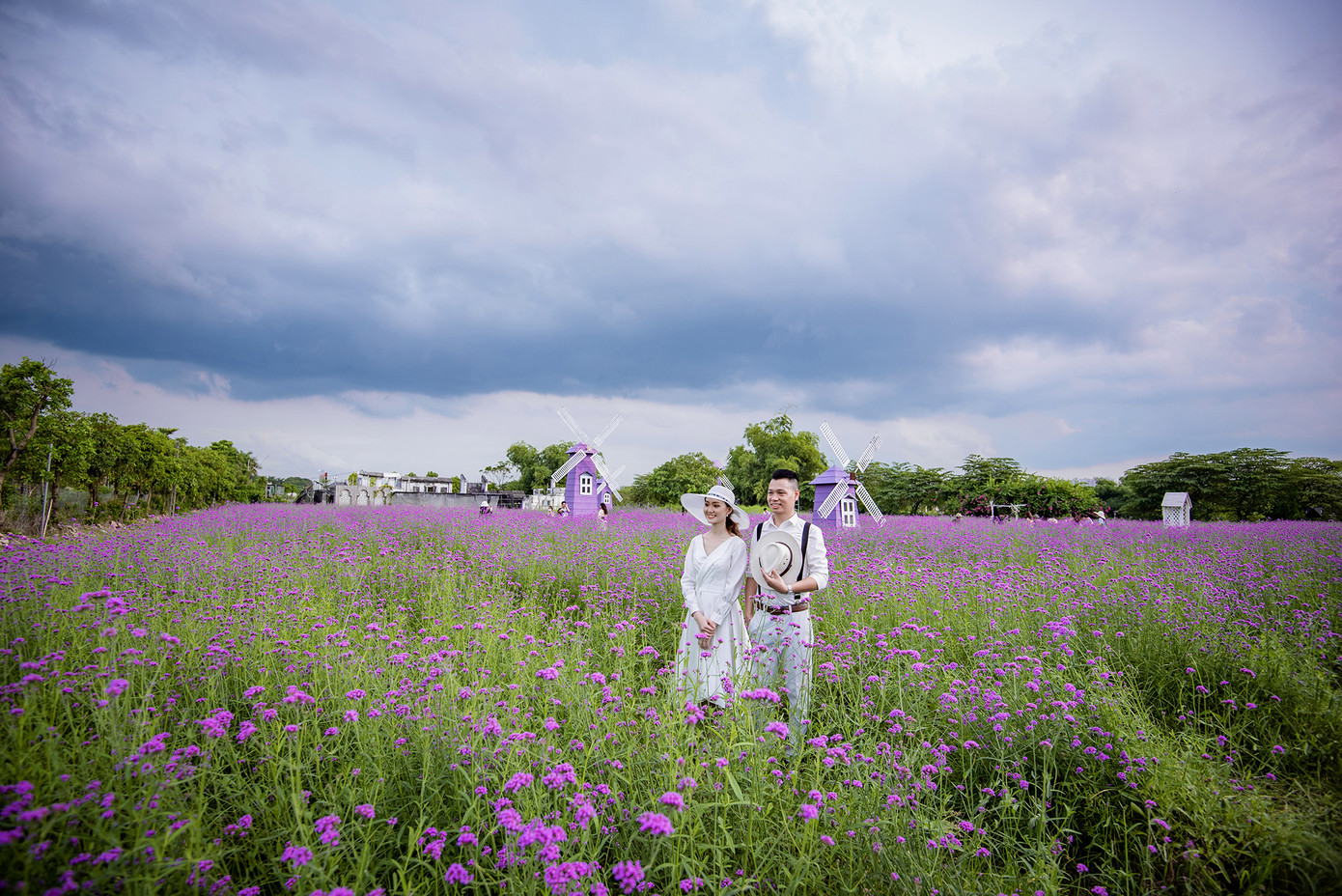 "Check-in" cánh đồng hoa "hot" nhất Thủ đô ảnh 12