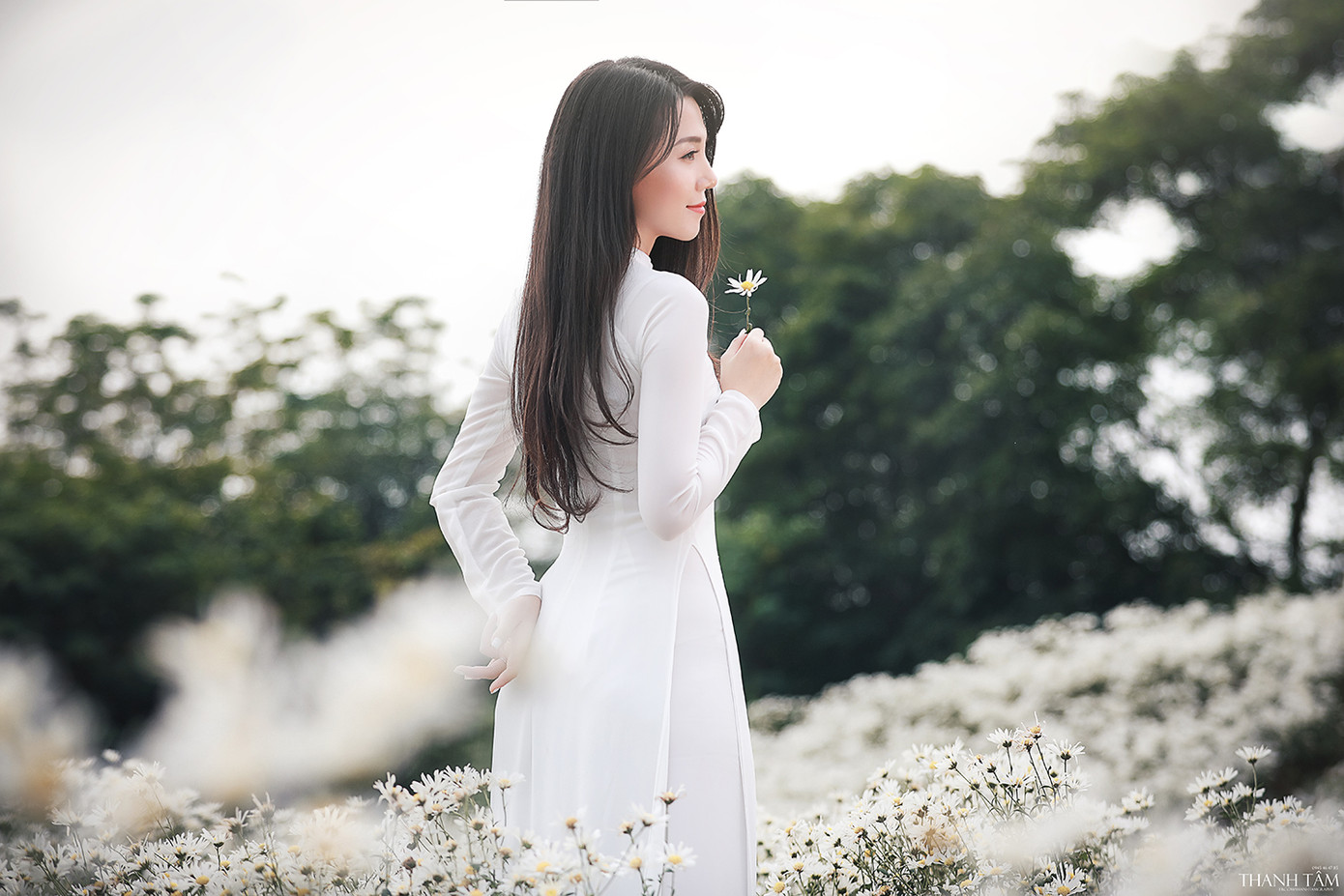 Cô nàng 9X Hà Nội tinh khôi bên cúc hoạ mi ảnh 3