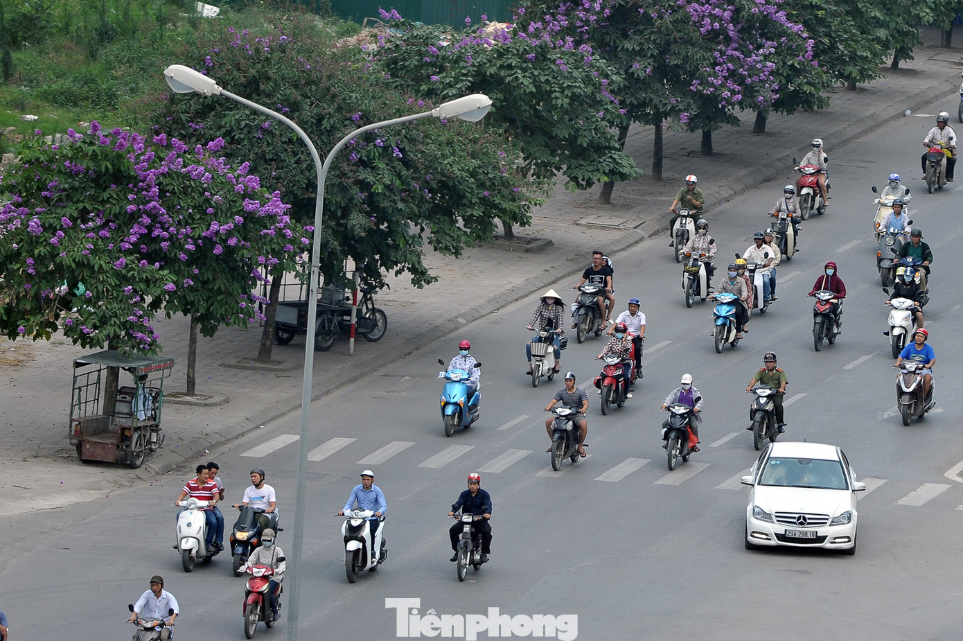Hoa bằng lăng rực rỡ sắc tím khắp phố phường Hà Nội ảnh 5