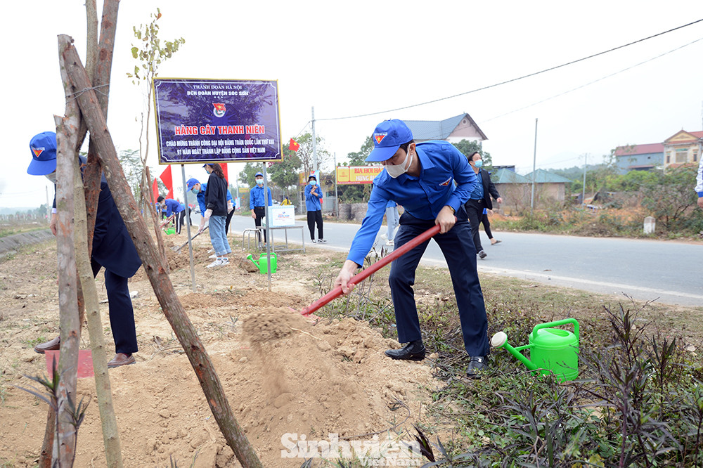 Anh Bùi Quang Huy, Bí thư thường trực T.Ư Đoàn, Chủ tịch T.Ư Hội Sinh viên Việt Nam tham gia hoạt động trồng cây. Hàng ngàn công trình thanh niên mừng Đảng quang vinh ảnh 2