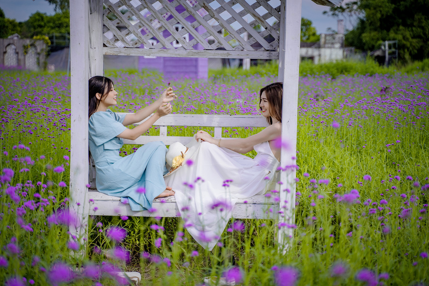 "Check-in" cánh đồng hoa "hot" nhất Thủ đô ảnh 9