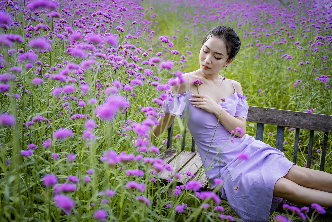 "Check-in" cánh đồng hoa "hot" nhất Thủ đô ảnh 6