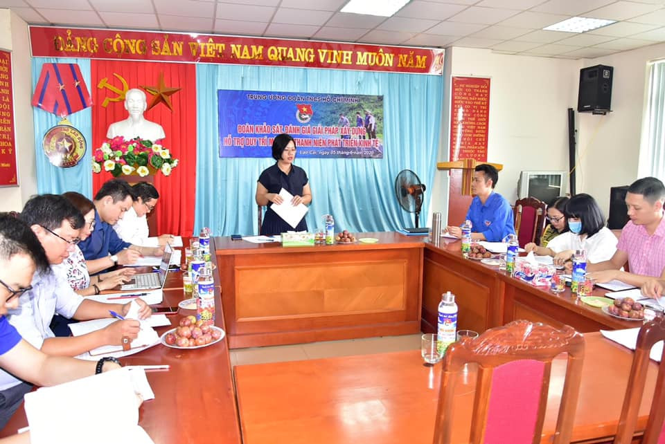 Xây dựng, hỗ trợ duy trì mô hình thanh niên phát triển kinh tế ảnh 1