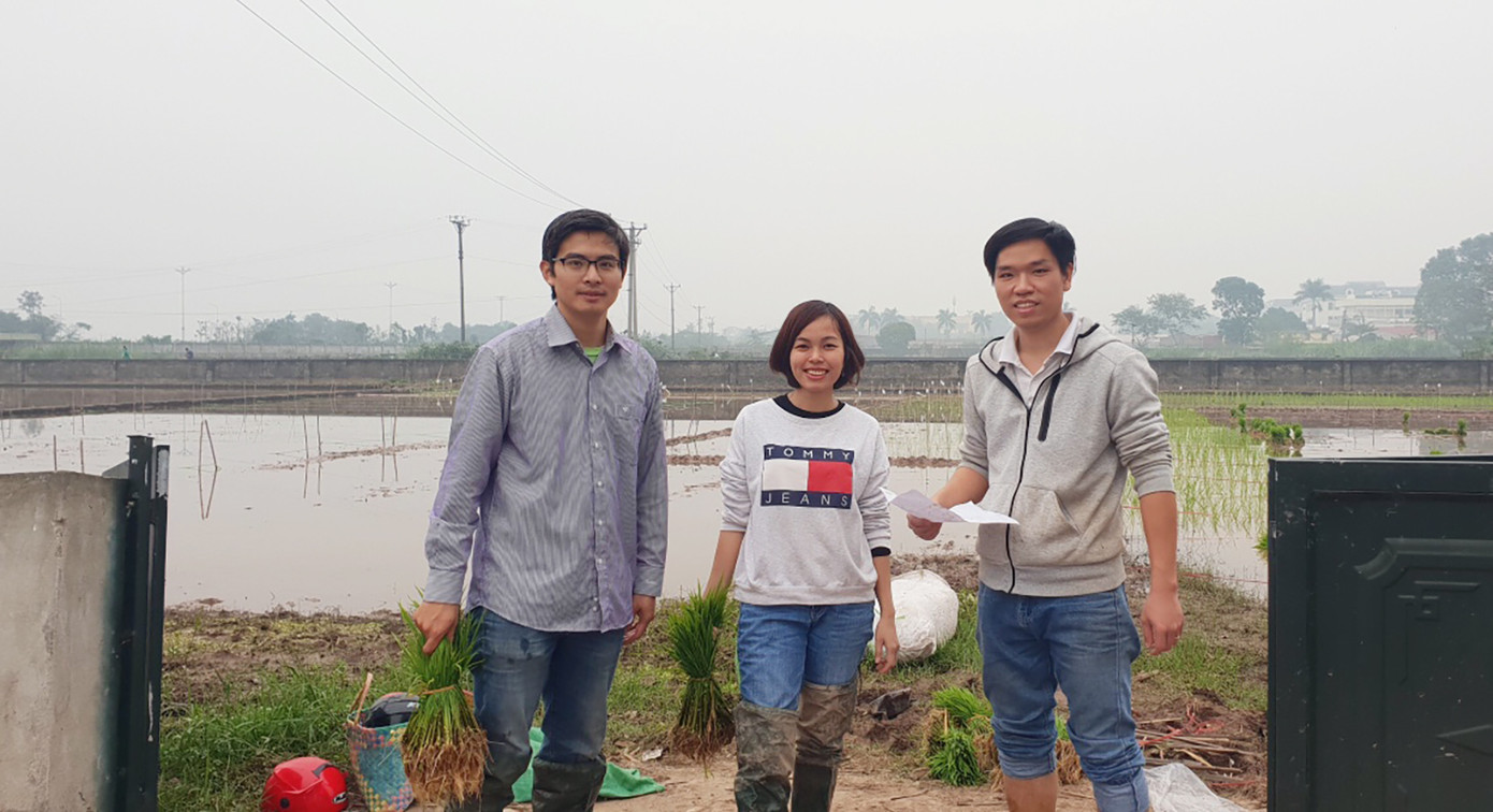 Sinh viên sáng tạo cánh đồng lúa hình bản đồ Việt Nam ảnh 3