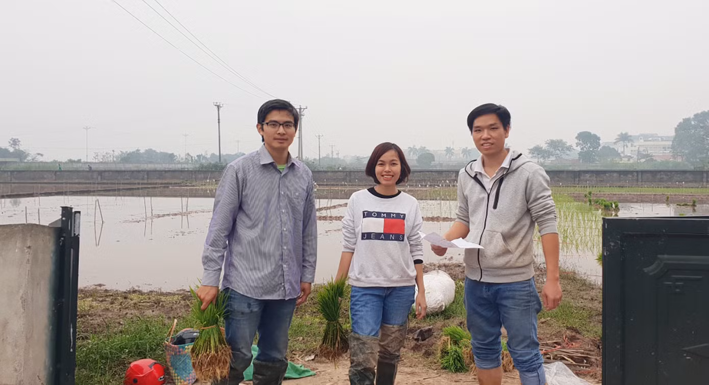 Sinh viên sáng tạo cánh đồng lúa hình bản đồ Việt Nam ảnh 3