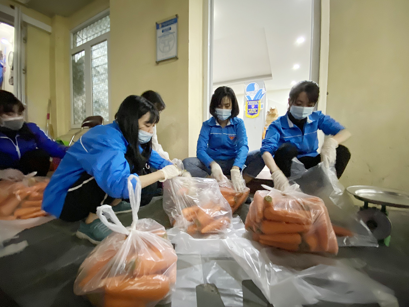 Trắng đêm hỗ trợ người dân Hải Dương tiêu thụ nông sản ảnh 3