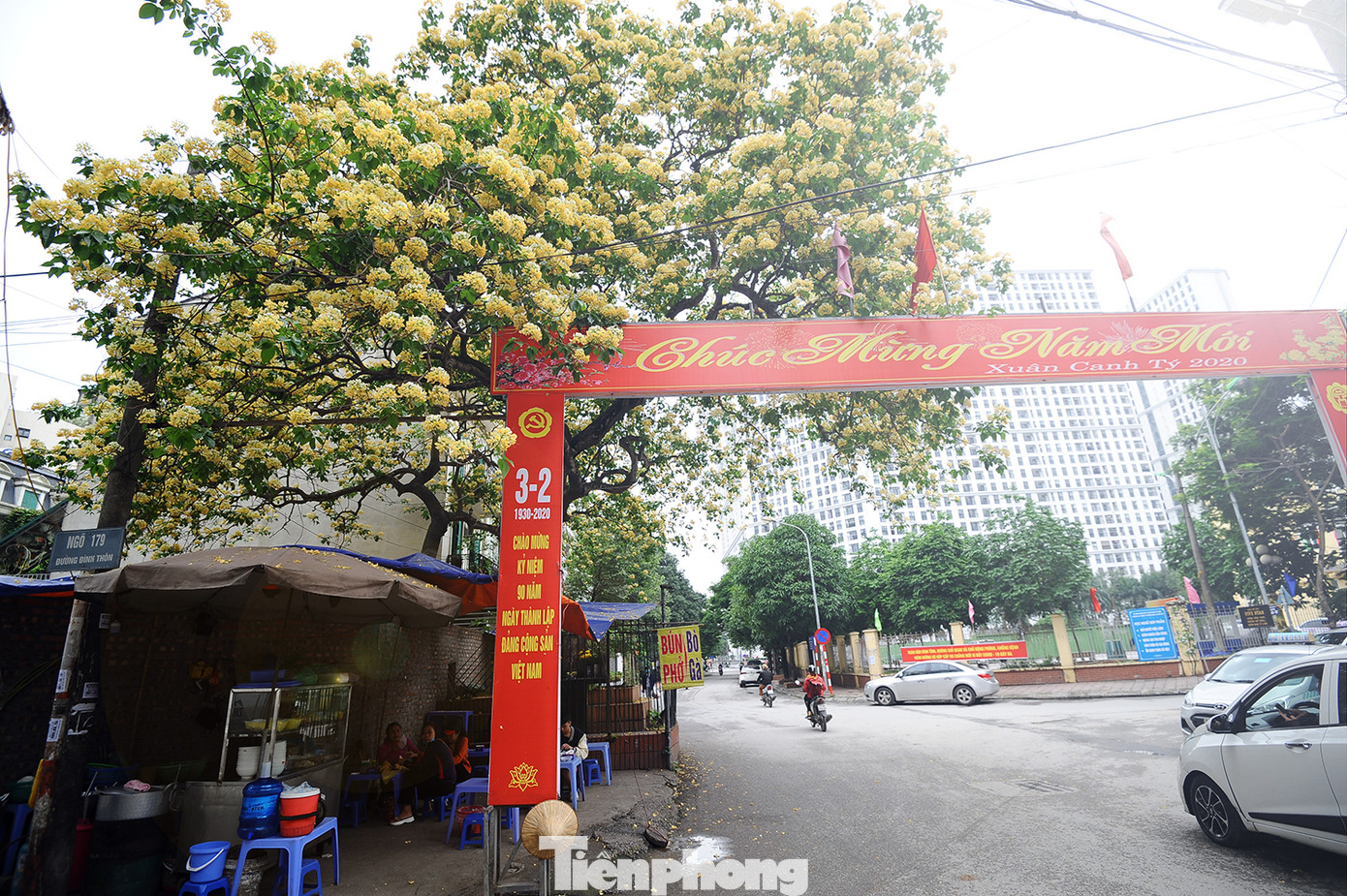 Cây cổ thụ hơn 300 năm tuổi ra hoa đẹp ngỡ ngàng giữa Hà Nội ảnh 2