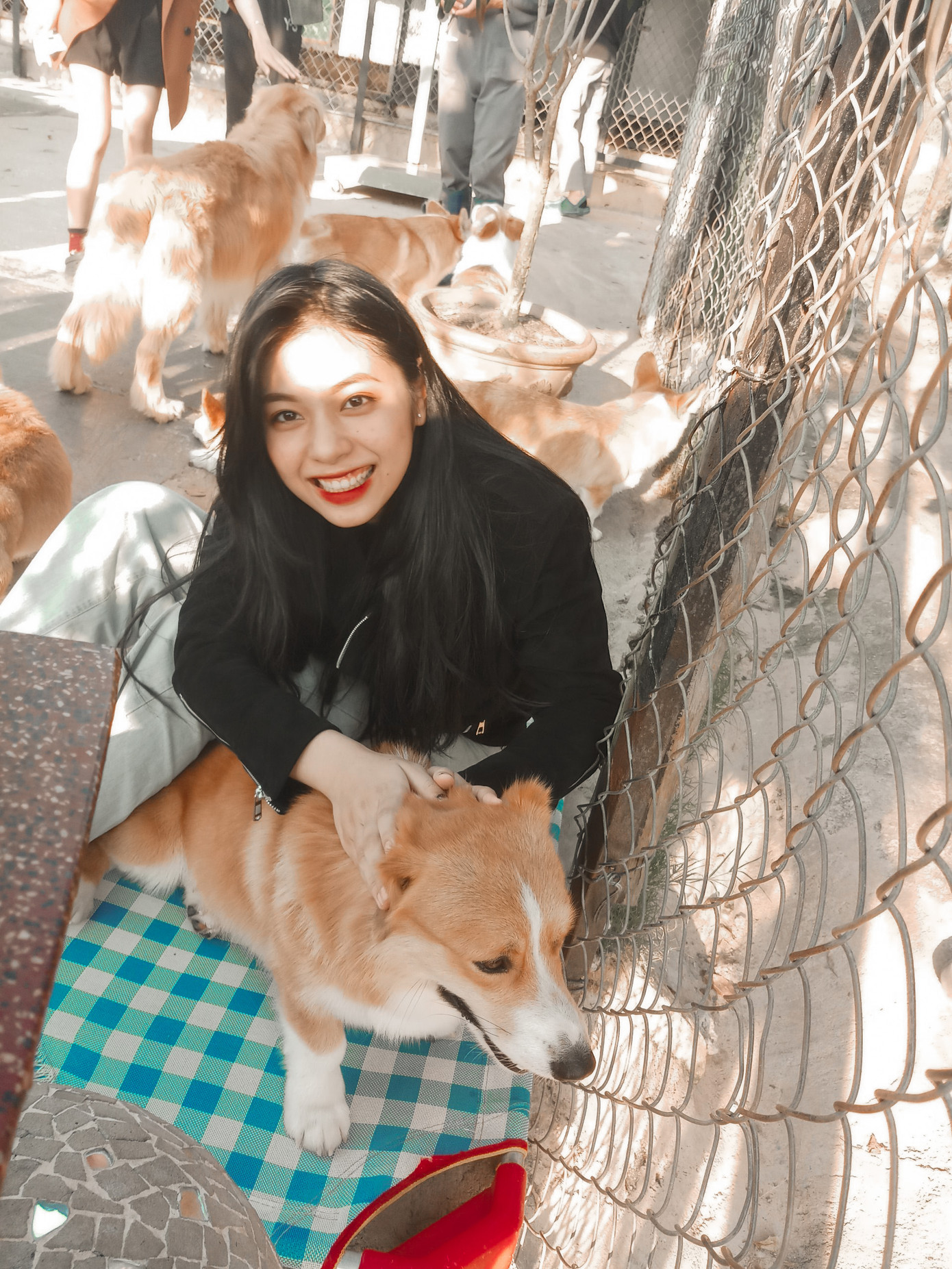 Nữ sinh xứ Nghệ ước mơ chinh phục ngôi vương Hoa hậu Việt Nam 2020 ảnh 6