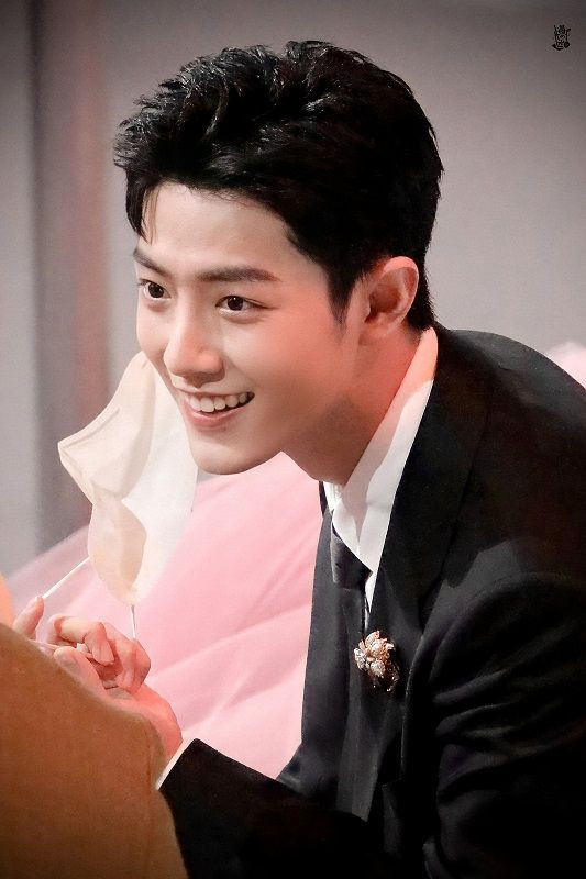 Tiêu Chiến ga-lăng đỡ váy giúp Dương Tử và cái kết “cồng kềnh” ảnh 4