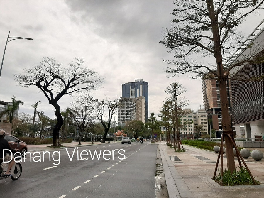 Dù khá ngổn ngang nhưng thành phố Đà Nẵng đã bình yên sau khi bão số 13 đi qua ảnh 5