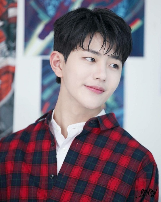 #Team_2K_của_KPop: Những nam idol K-Pop nào là "hoàng tử trong mơ" của bạn? ảnh 5