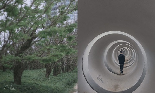 Bất chấp trời rét buốt, sinh viên ĐH Đà Nẵng vẫn nhiệt tình đi hiến máu nhân đạo ảnh 6