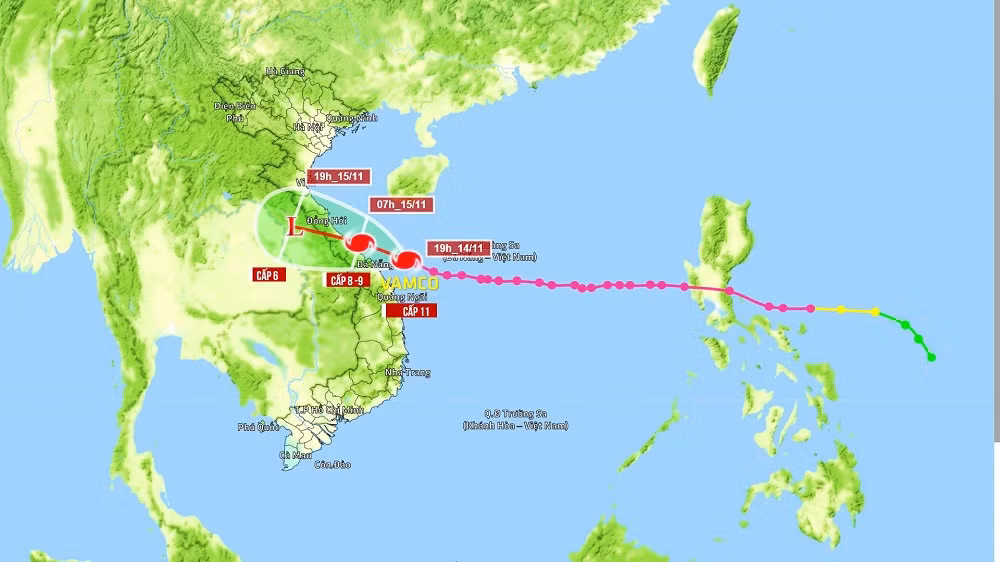 Thừa Thiên - Huế: Trạm xe buýt bị hư hại, cây xà cừ trăm tuổi bật gốc vì bão số 13 ảnh 11