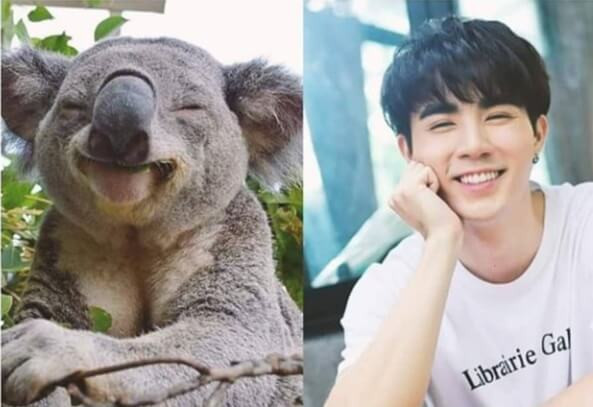 5 điều thú vị về Zee Pruk Panich (Why R U? The Series) mà fan cứng cần biết ảnh 1