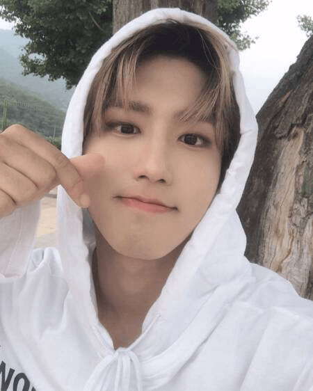 Bạn đã nhuộm tóc đón Hè chưa? Cập nhật “trend” mới nhất từ các idol K-Pop nhé! ảnh 5