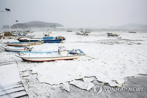 Biển ở Seosan, miền Trung Hàn Quốc, bị đóng băng vào ngày 8/1/2021. Bức ảnh này do Tòa thị chính Seosan cung cấp. Đây là lần đầu tiên biển nơi đây đóng băng sau 3 năm. Hàn Quốc lạnh đến mức sông Hàn hóa “sân băng” khổng lồ, đến biển cũng đóng băng ảnh 7